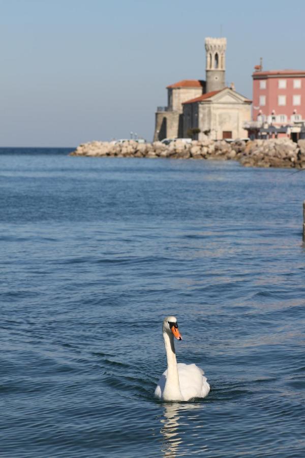 Sal & Mar Apartments Piran Exteriör bild